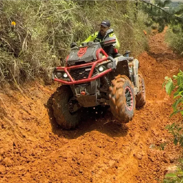 Aodes Colombia Aodes Colombia