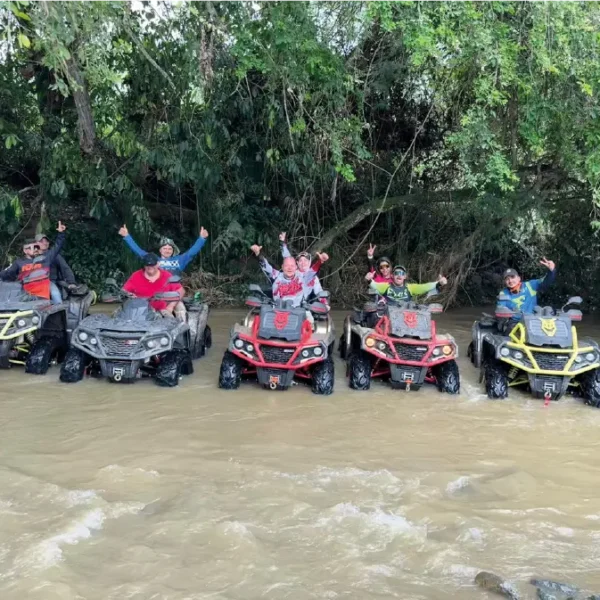 Aodes Colombia Aodes Colombia