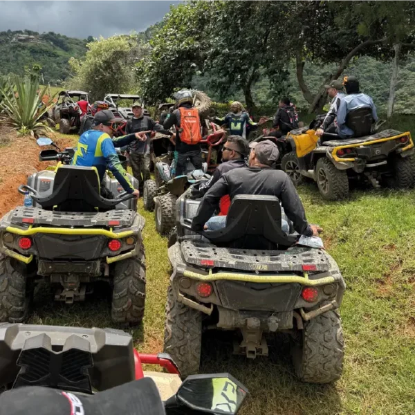 Aodes Colombia Aodes Colombia