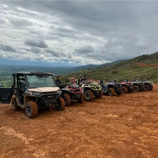 Aodes Colombia Aodes Colombia