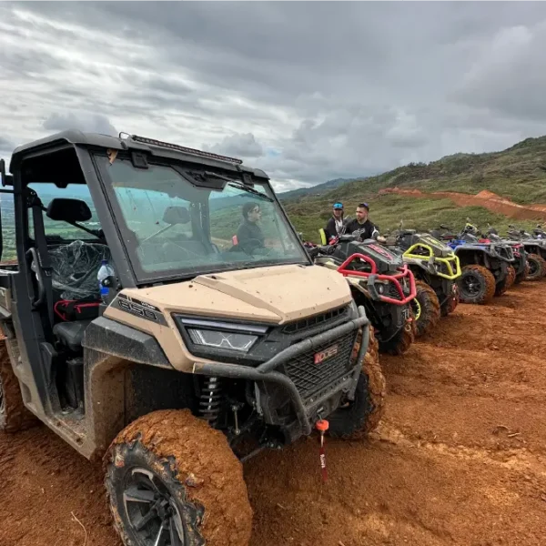 Aodes Colombia Aodes Colombia