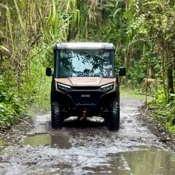 Aodes Colombia Aodes Colombia