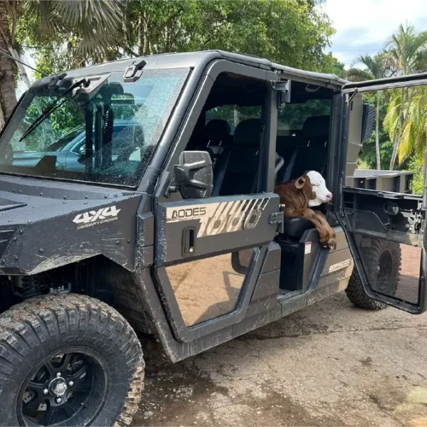 Aodes Colombia Aodes Colombia