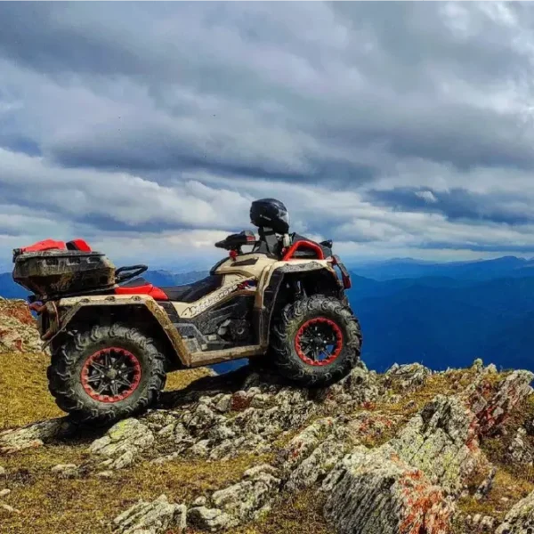 Aodes Colombia Aodes Colombia