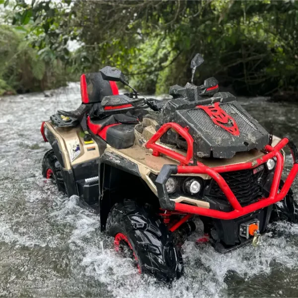 Aodes Colombia Aodes Colombia