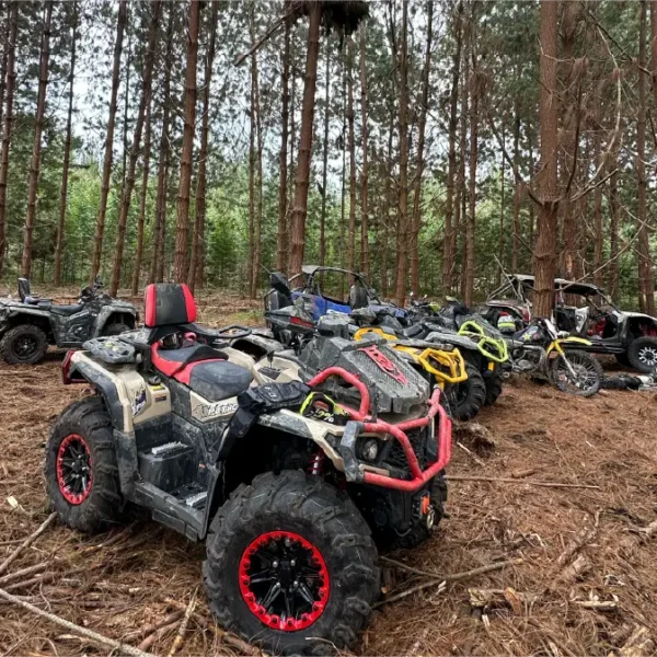 Aodes Colombia Aodes Colombia