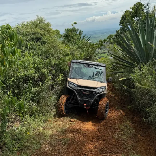Aodes Colombia Aodes Colombia