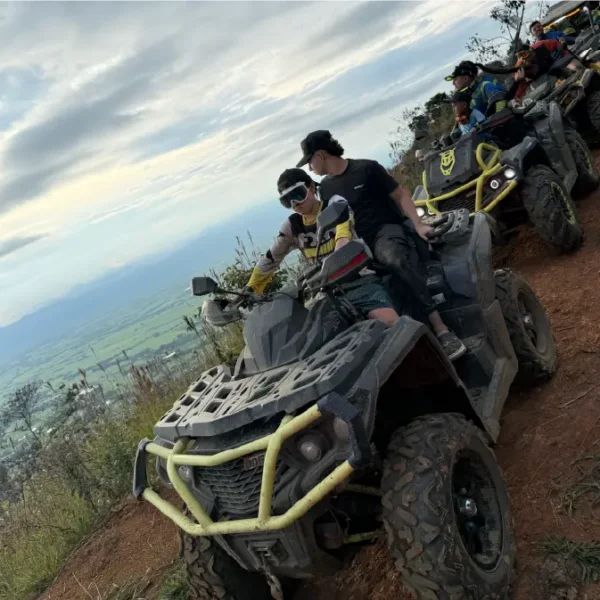 Aodes Colombia Aodes Colombia